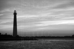 Lighthouse Gulls (BW)